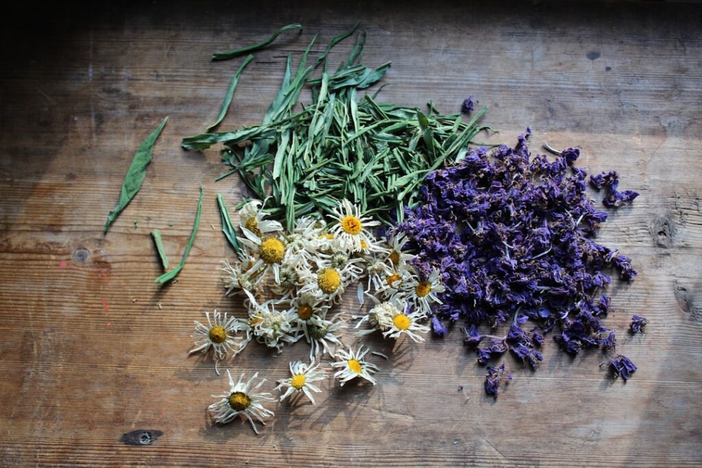A close-up of various dried herbs and spices for hair care such as rosemary fenugreek and cloves neatly arranged in smal