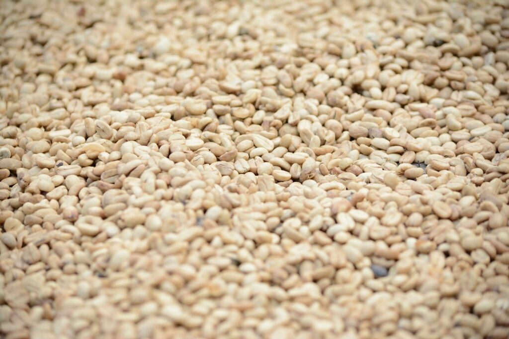 Close-up of dried fenugreek seeds in a small bowl showcasing their texture and color
