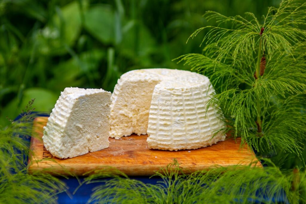 A bowl of creamy smooth cottage cheese perhaps with a slight swirl ready to be used as a dessert base Clean bright aesth
