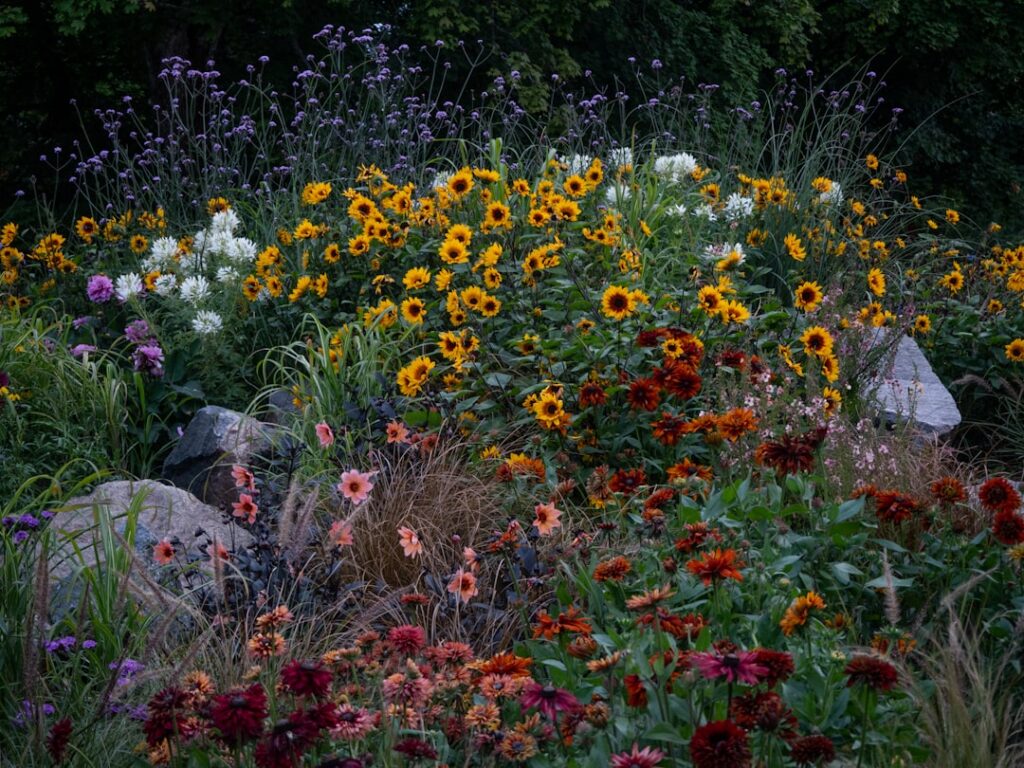 A garden scene with various native plants a bird bath and small shrubs indicating a diverse pollinator habitat