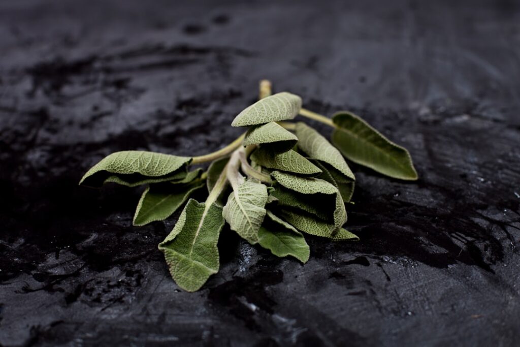 Fresh soursop leaves and dried Mexican oregano leaves laid out on a wooden surface next to a measuring spoon