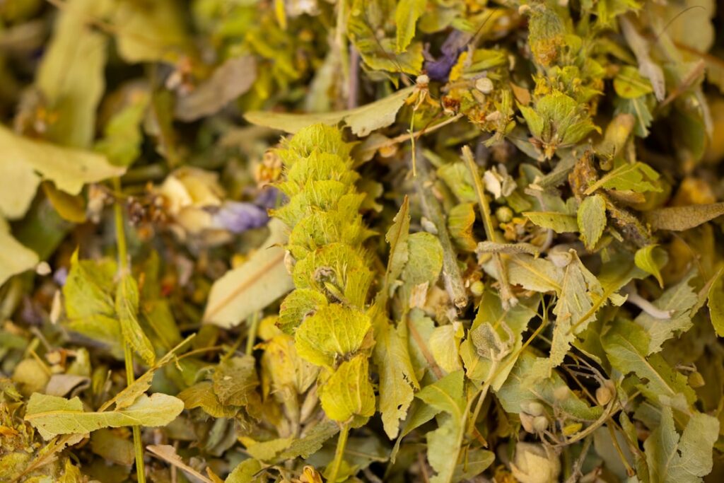 Close-up of dried mullein leaves and yellow mullein flowers being measured into a tea infuser or strainer