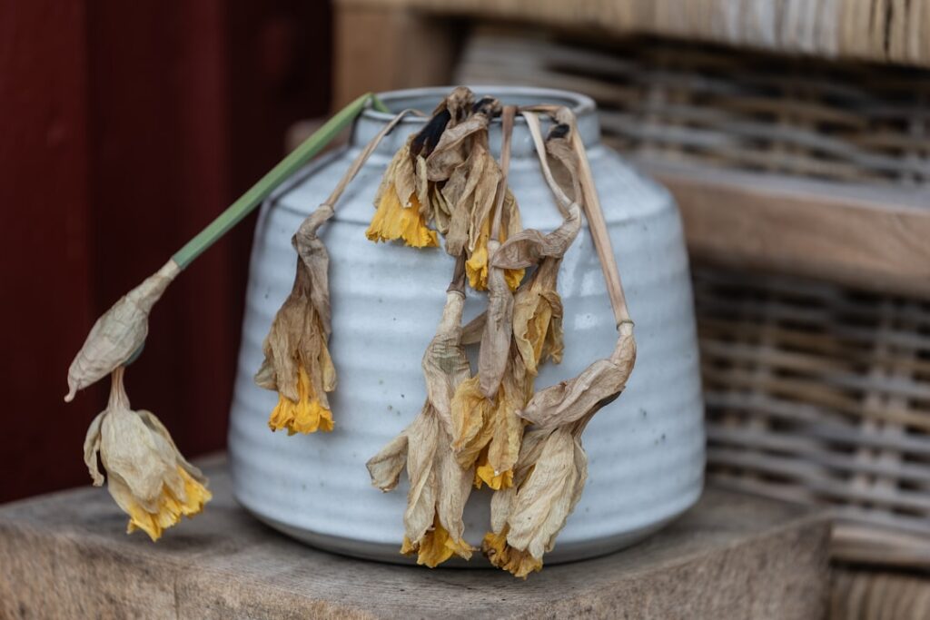 A tightly sealed glass jar filled with dried mullein leaves and flowers labeled clearly in a cool pantry setting