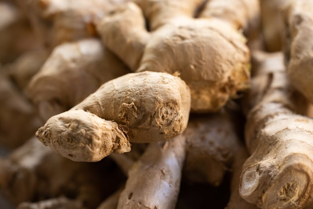 Close-up of fresh ginger roots with some sliced and grated ginger visible next to a clean white cloth and a bowl of warm