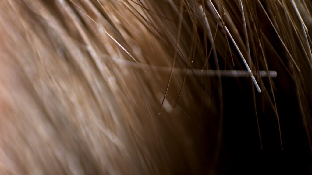 A close-up of healthy shiny dark hair possibly after a natural treatment The hair looks thick lustrous and well-nourishe