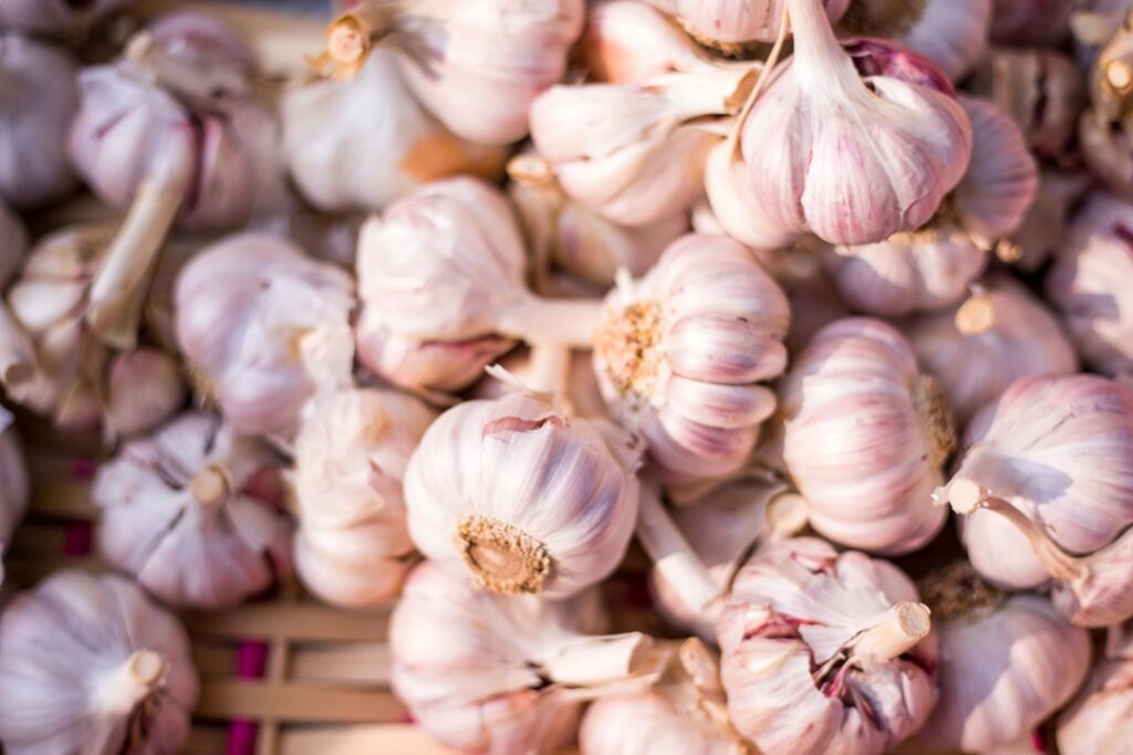 A man in his 40s or 50s looking healthy and vibrant smiling while holding a bulb of fresh garlic in a kitchen setting Th