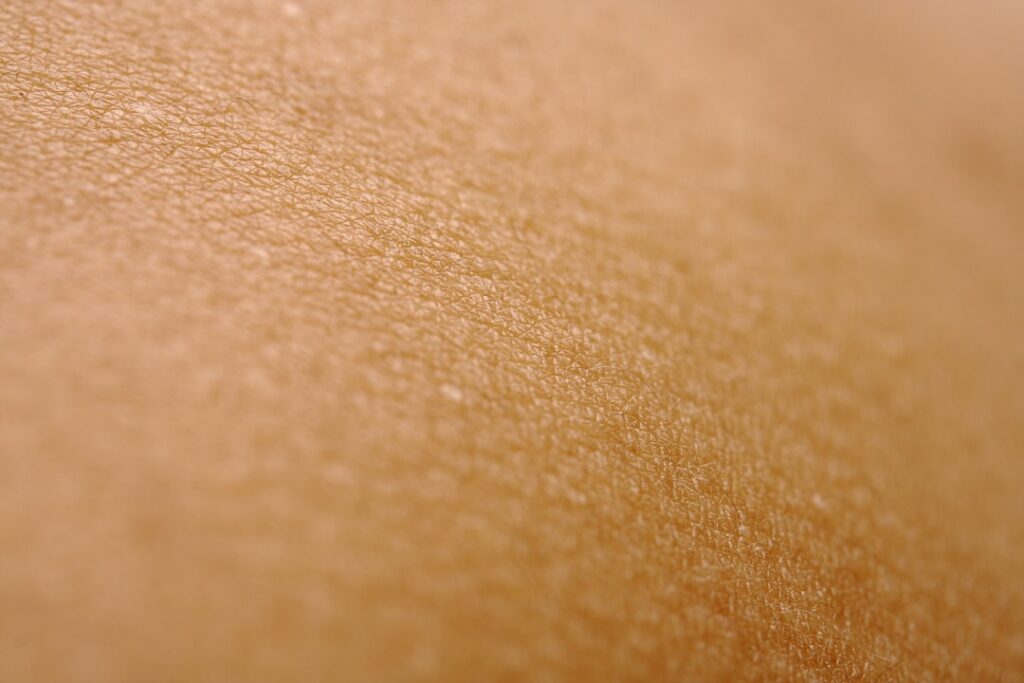 A close-up of fresh vibrant skin perhaps with a subtle glow to represent the outcome of a healthy diet