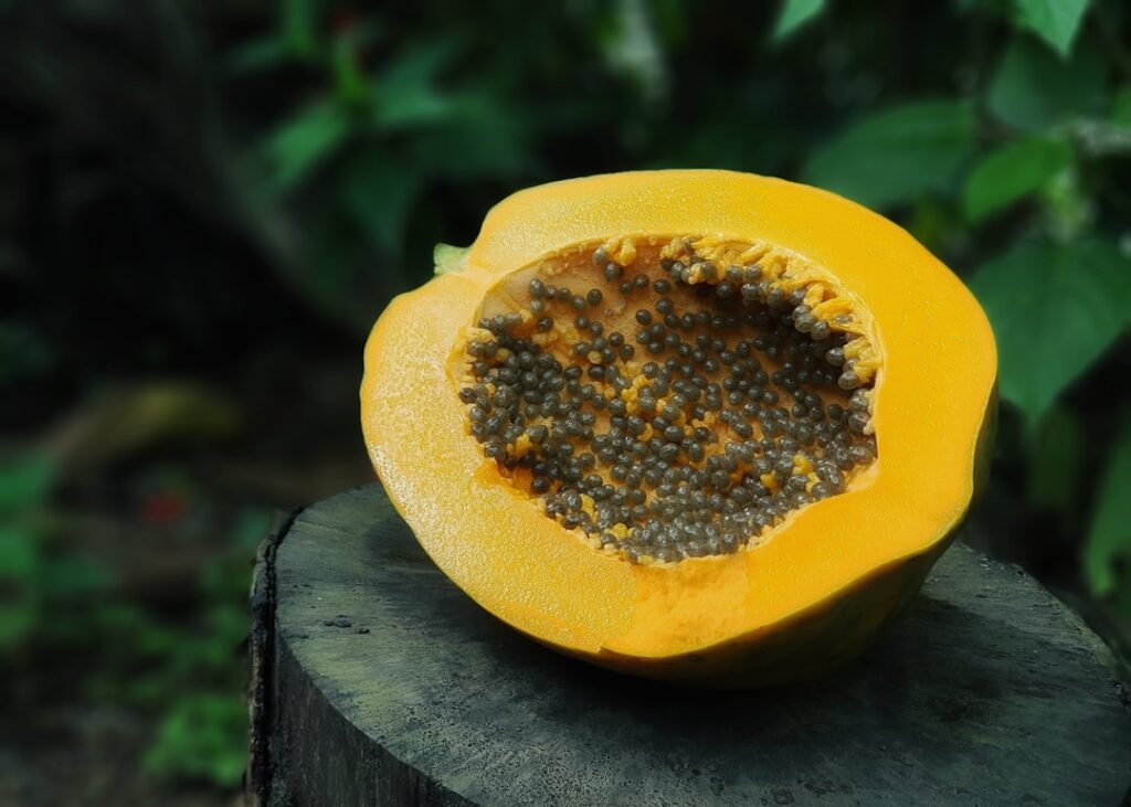 An infographic showing papaya sunflower seeds and pumpkin seeds with small icons illustrating their health benefits like