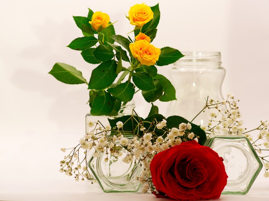 A variety of natural ingredients for a DIY skincare recipe laid out on a clean white background This includes rose petal