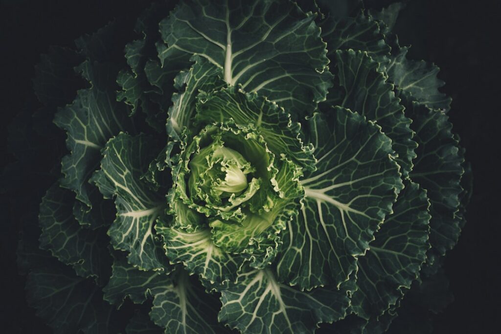 A selection of cruciferous vegetables like broccoli florets sliced cabbage and Brussels sprouts on a cutting board highl