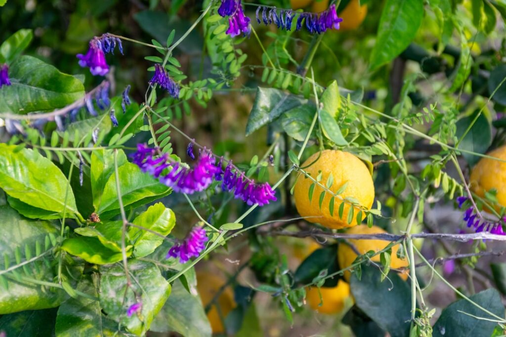 A vibrant garden scene showing different companion plants growing around a healthy fruit tree demonstrating biodiversity