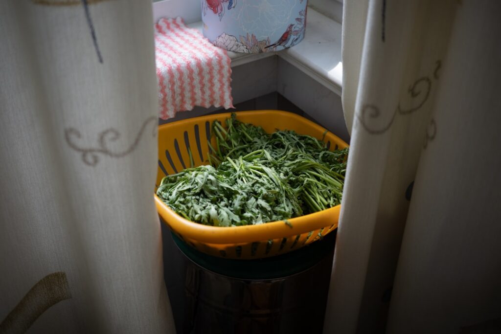 A close-up of freshly harvested dandelion leaves and roots clean and ready for preparation