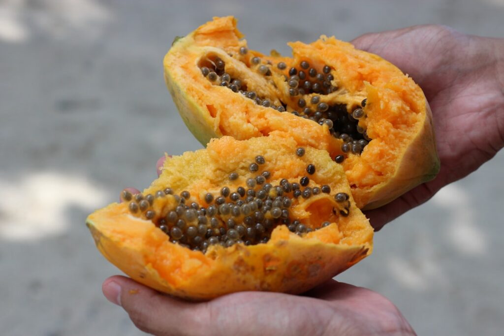 A close-up of a hand holding a handful of black papaya seeds highlighting their texture and quantity