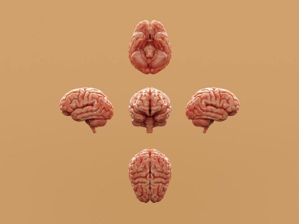 A vibrant stylized illustration of a human brain with gears and light bulbs indicating active thought and problem-solvin