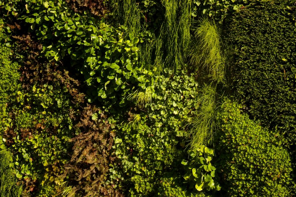 A beautiful lush vertical garden setup with a variety of healthy plants growing demonstrating space efficiency and vibra