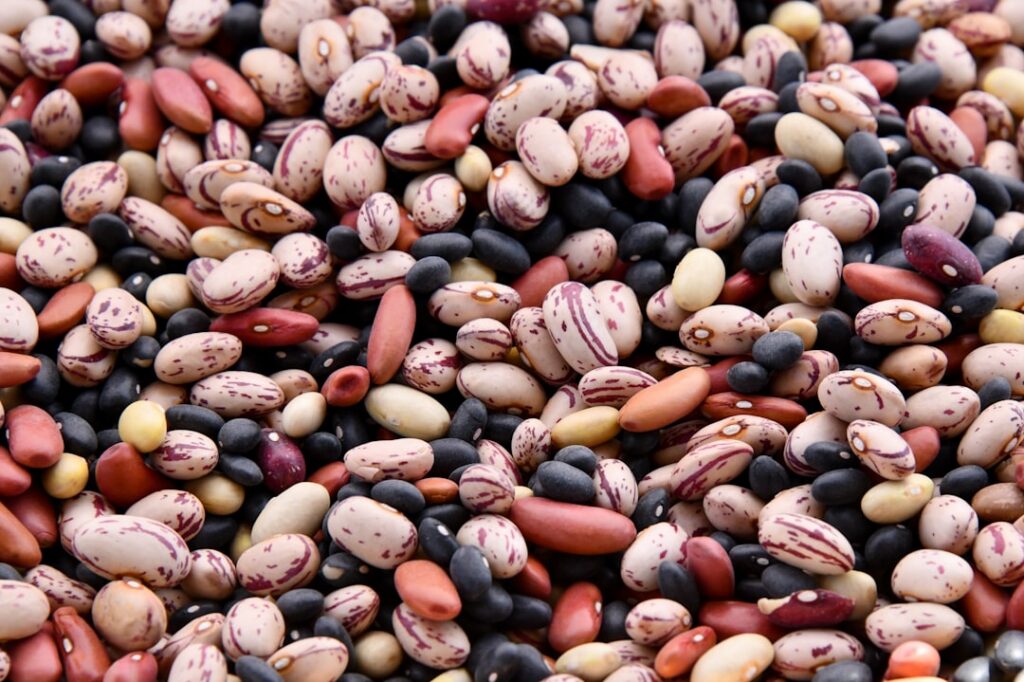 A close-up shot of various legumes and beans in separate bowls such as lentils chickpeas black beans and kidney beans sh