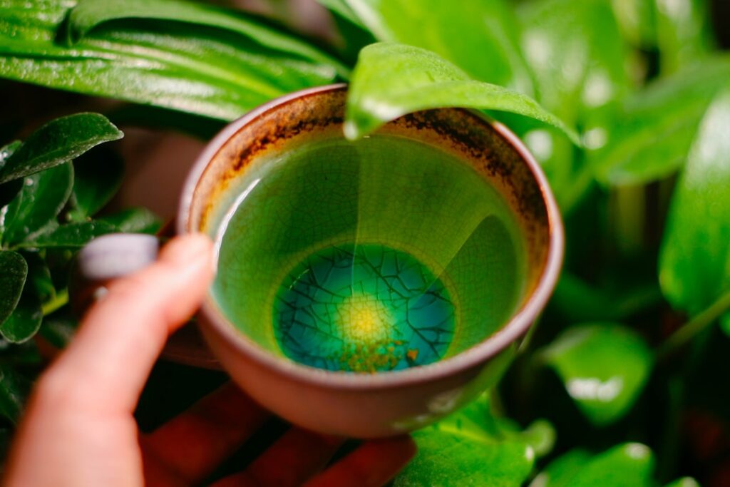 A vibrant infographic or flat lay showing green tea a glass of milk a glass of water and a glass of beetroot juice with 
