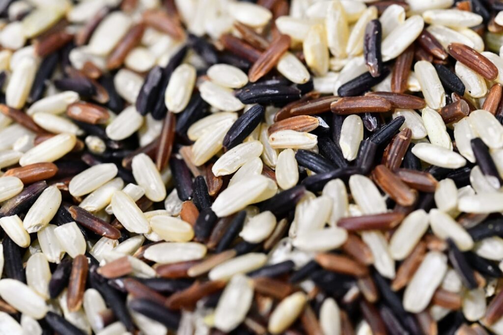 A side-by-side comparison of white rice and brown rice grains possibly with a visual representation of their nutritional