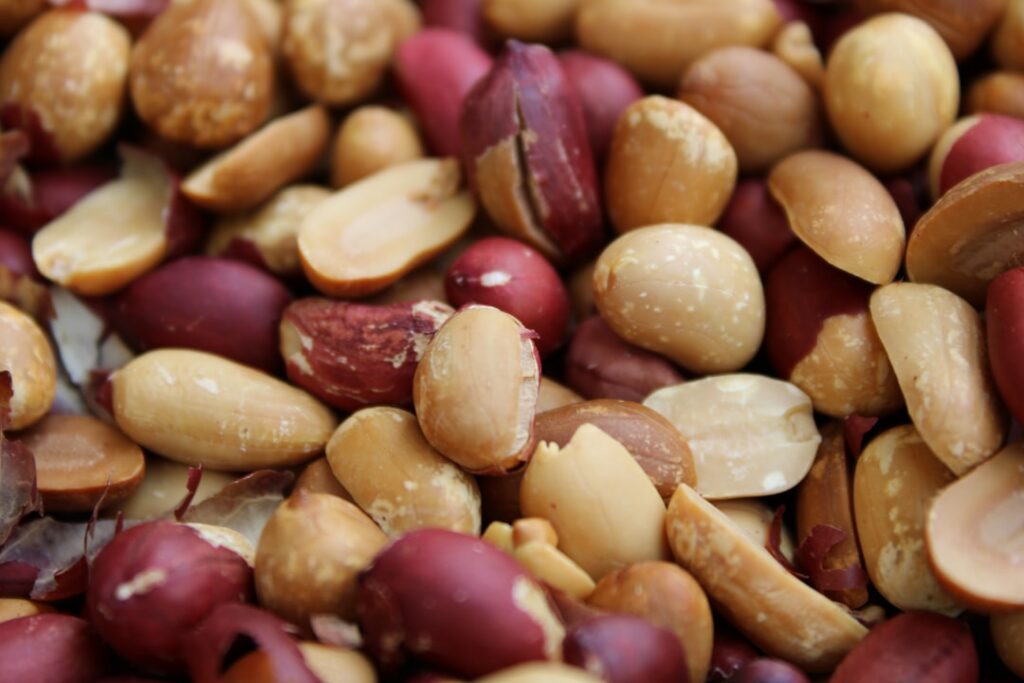 A side-by-side infographic comparing the nutritional values calories protein fat fiber of peanuts and edamame with visua