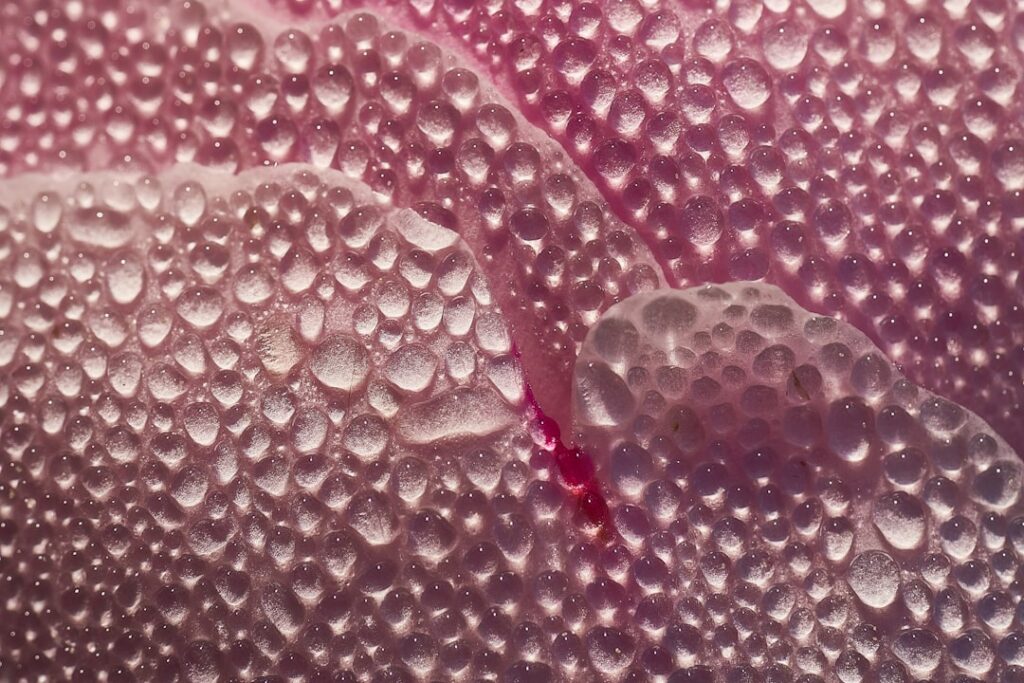 Three ingredients for a facial mist such as rose water glycerin and a small bottle of vitamin E oil arranged neatly on a