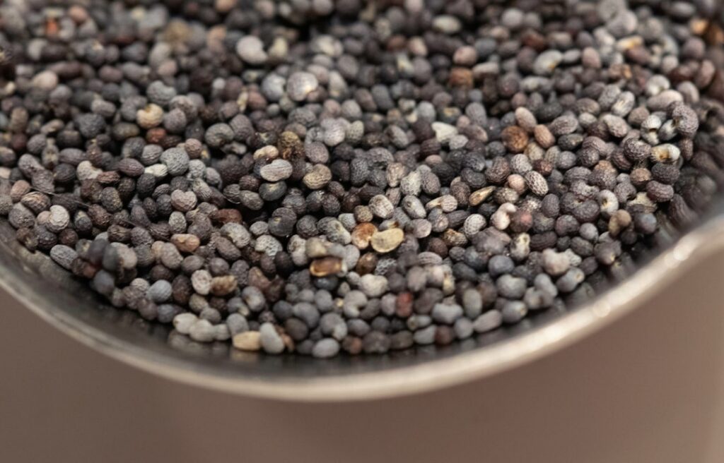 A close-up of dry chia seeds and whole dried cloves separated or side-by-side on a rustic surface emphasizing their natu