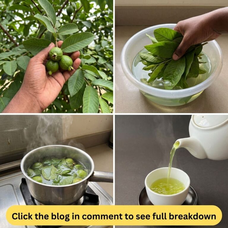 A four-panel collage showing the process of making guava leaf tea 1 Hand holding fresh guava leaves and small guavas 2 H