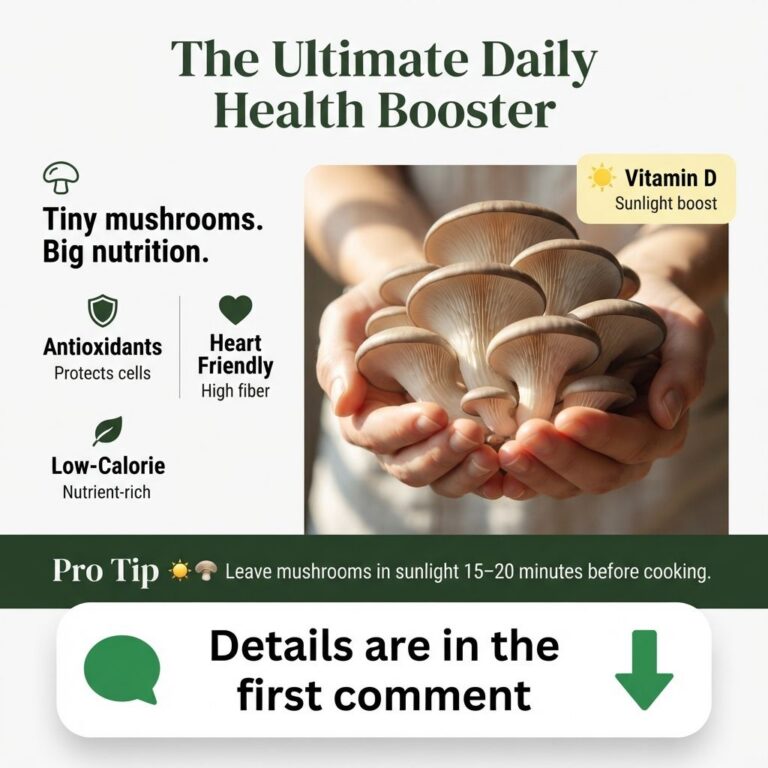 A pair of hands gently holding a cluster of fresh light grey oyster mushrooms with an infographic layout showcasing heal