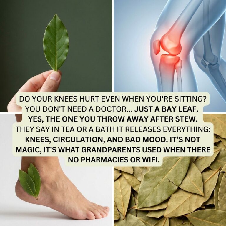 A four-panel grid showing a hand holding a fresh bay leaf a stylized glowing human knee joint bay leaves on a bare foot 