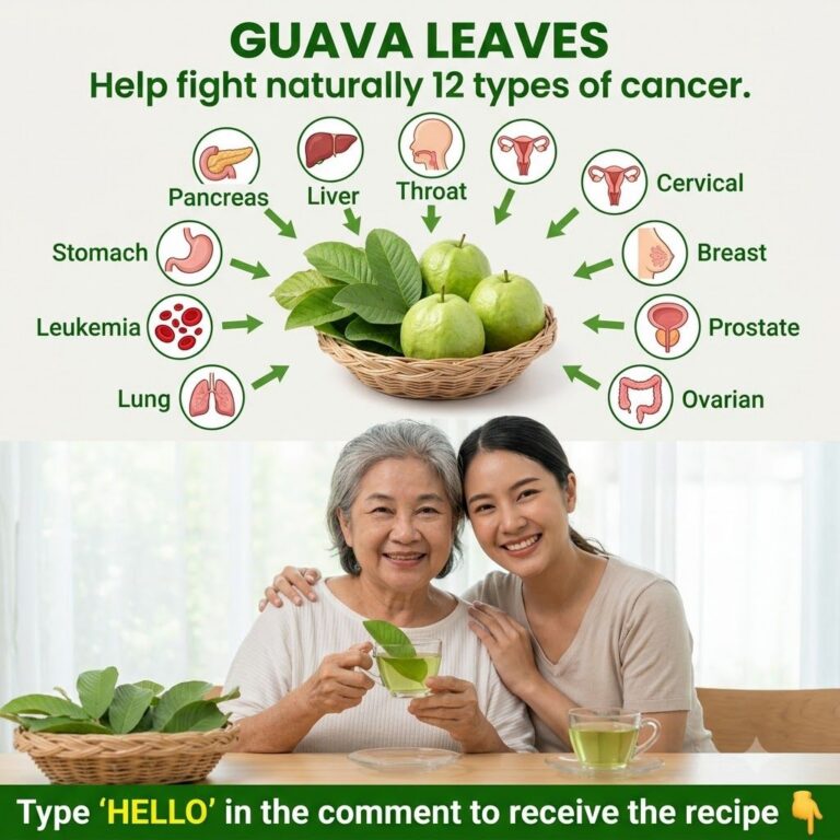 A composite image featuring an infographic on guava leaves health benefits and a lifestyle photograph of an older and yo