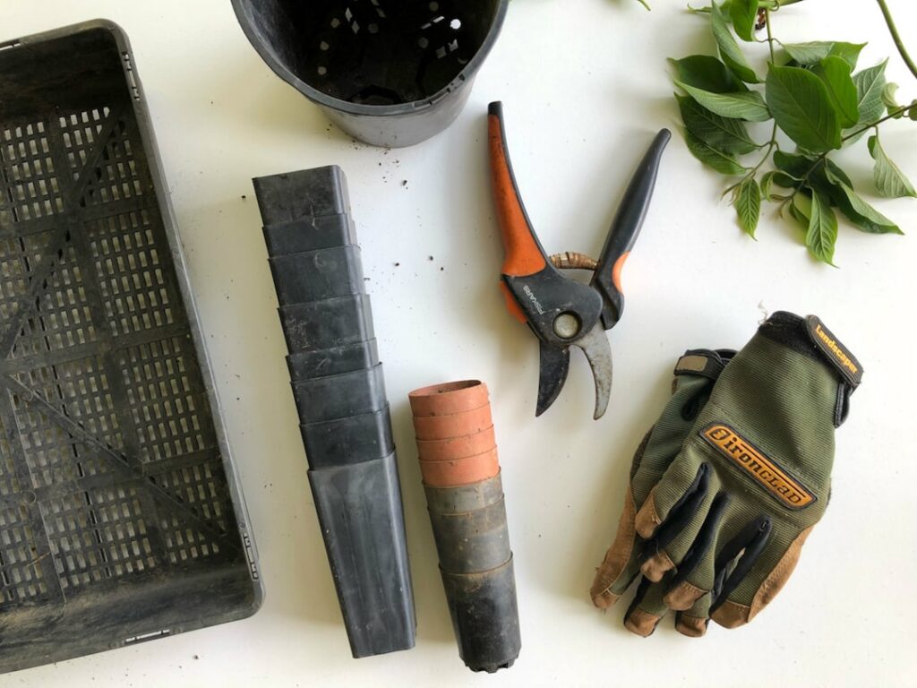 Various types of clean sharp pruning tools laid out on a gardening bench including hand pruners loppers and a pruning sa