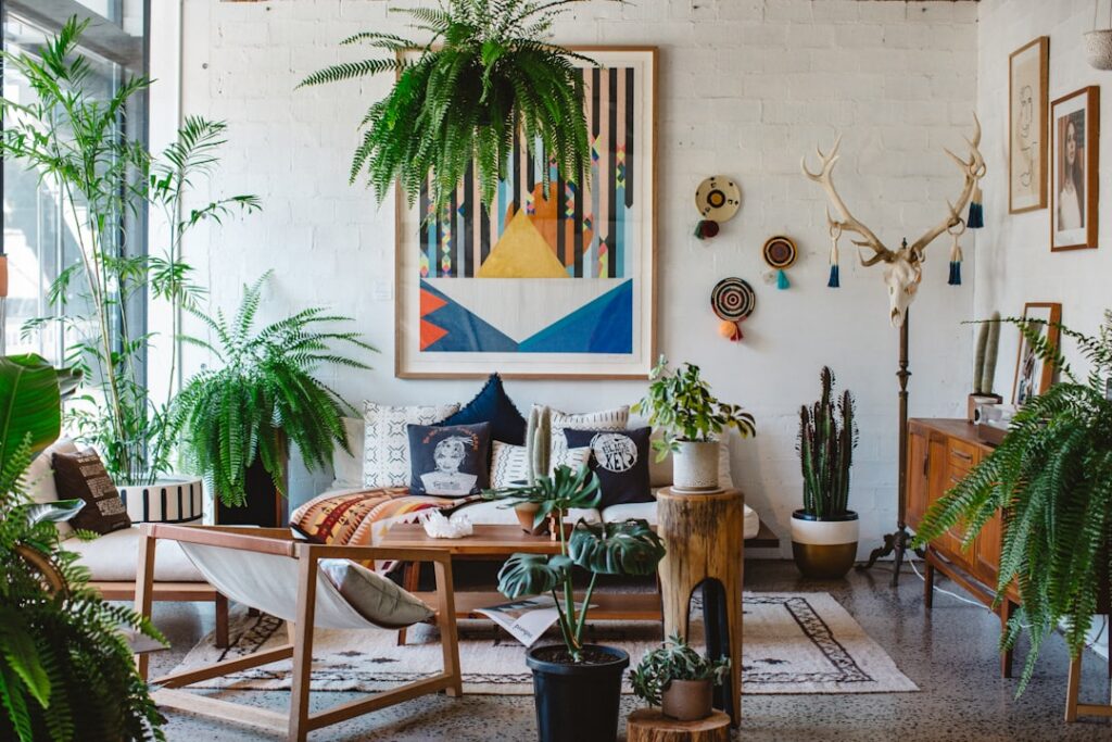A variety of hanging plants such as Pothos and Spider Plant thriving in a well-lit indoor space
