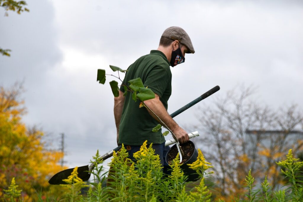 A gardener carefully applying a layer of organic mulch around the base of perennial plants in a garden bed