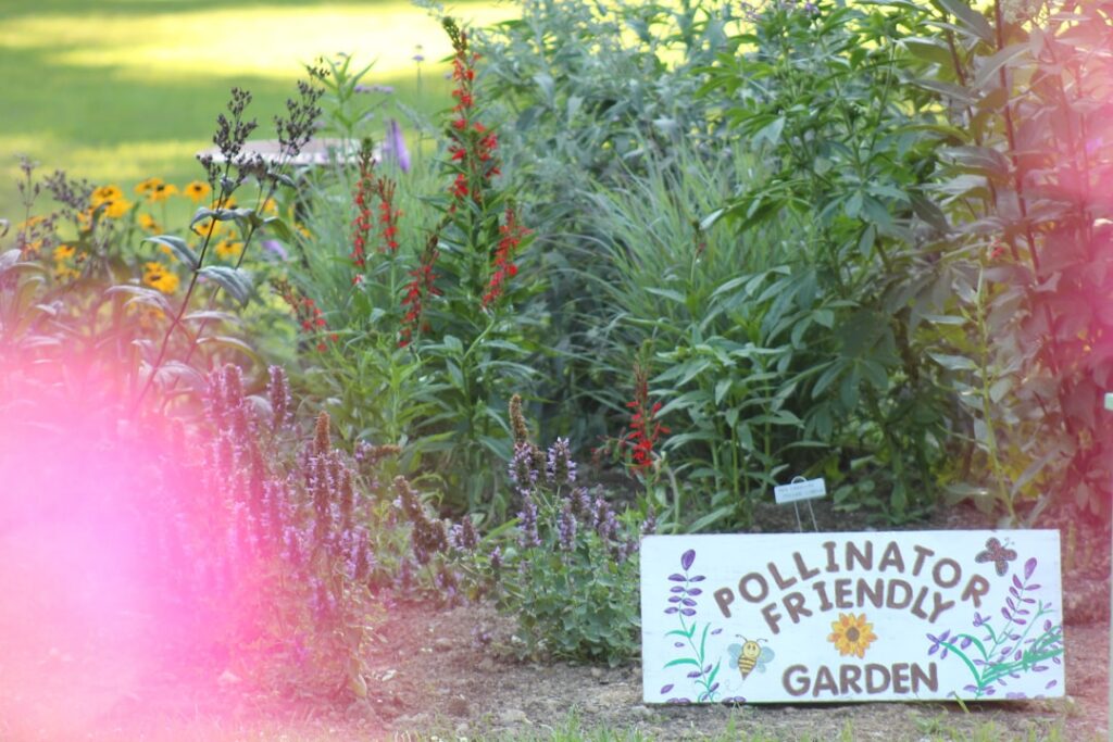 A vibrant garden bed filled with late summer blooming flowers like asters goldenrod coneflowers and zinnias with multipl