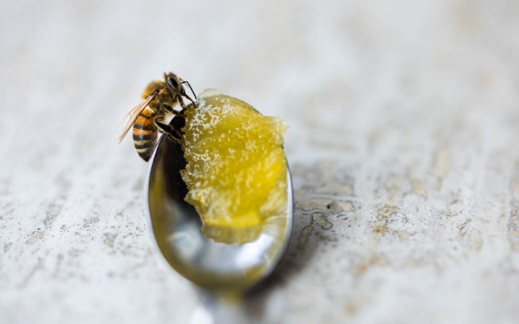 A finger gently applying a grainy lip scrub to dry chapped lips in a before and after visual