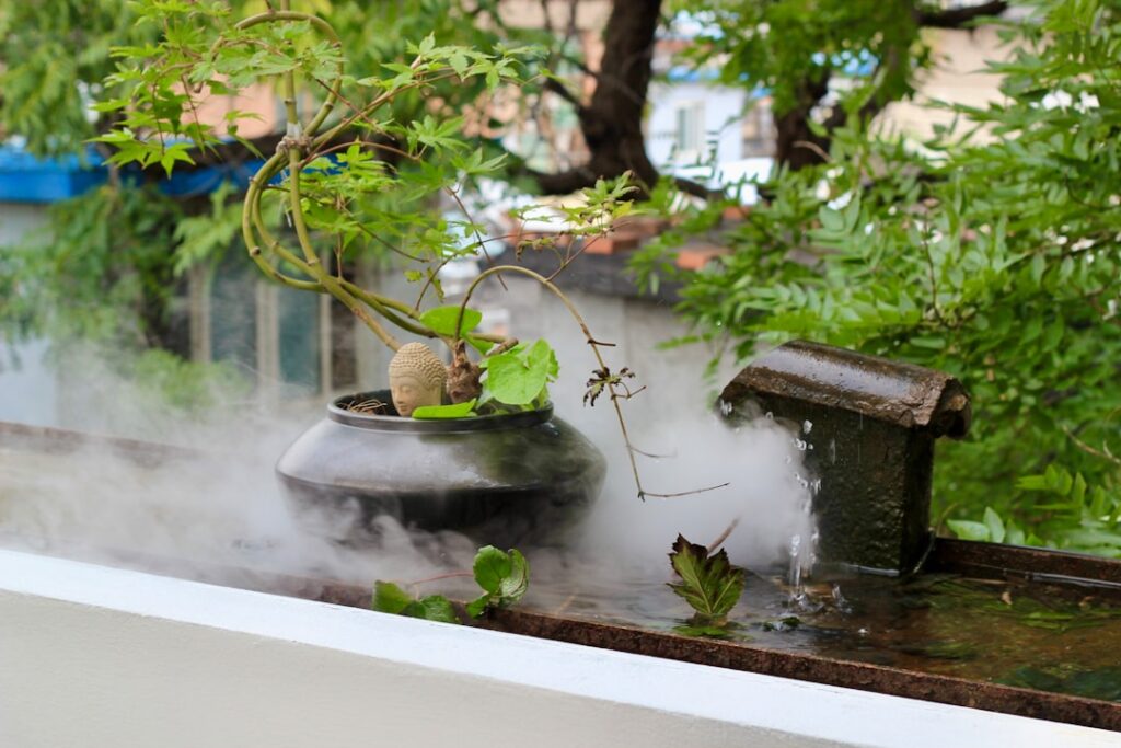 A close-up shot of a small bonsai tree being watered gently with a watering can showing water soaking into the soil and 