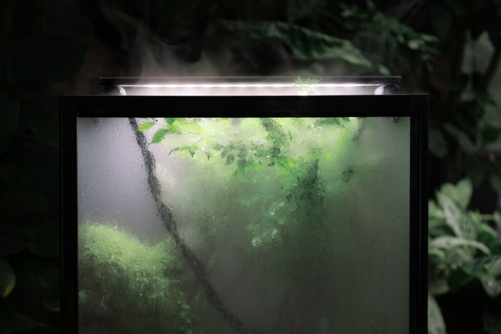 A close-up of a hand gently misting the interior of a closed terrarium with a small spray bottle showing fine droplets o
