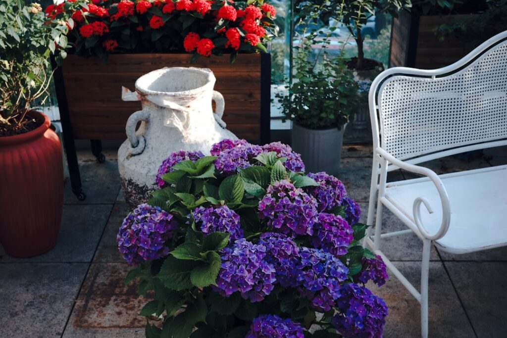 A beautiful patio space with various potted fragrant plants showing a cozy outdoor seating area surrounded by blooming f
