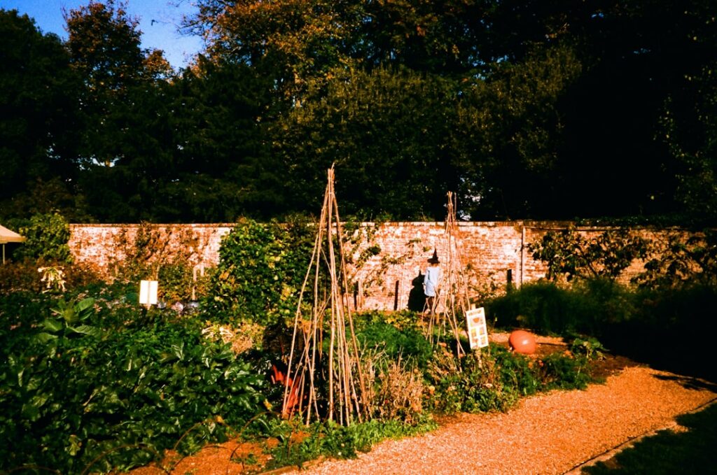 A vibrant healthy vegetable garden featuring various trellises supporting climbing plants like tomatoes cucumbers and be