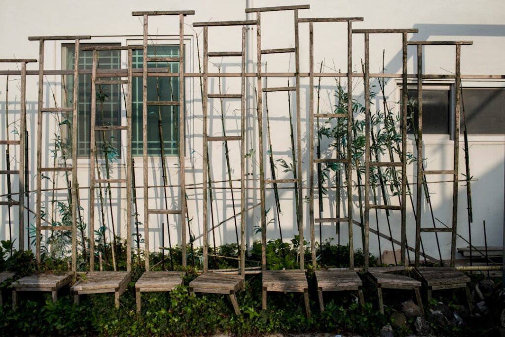 An array of different types of trellises and plant supports such as stakes cages netting and A-frames in a vibrant veget