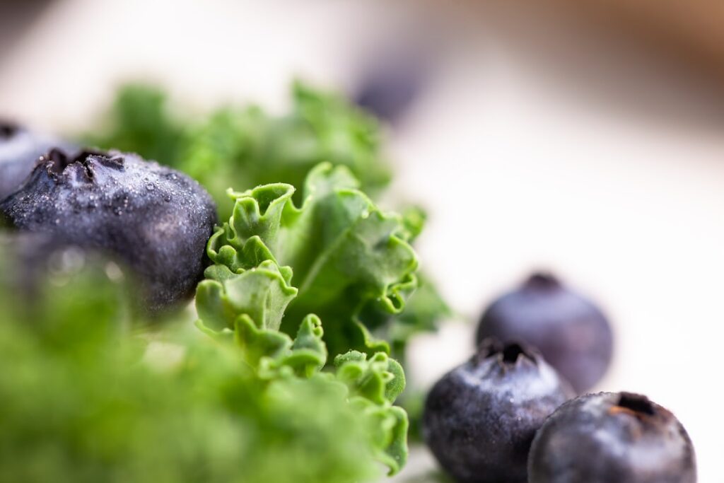 A vibrant fresh assortment of spinach kale blueberries and blackberries perhaps in separate bowls or artistically arrang