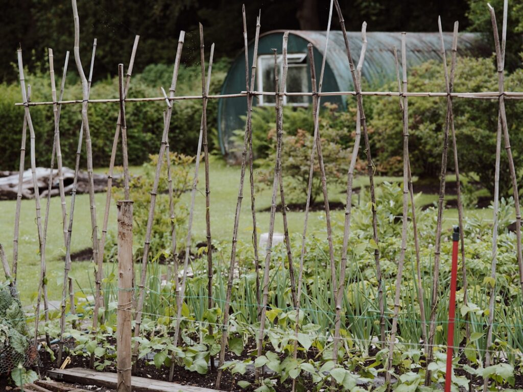 An assortment of various plant supports stakes trellises cages and netting placed in a sunny garden setting