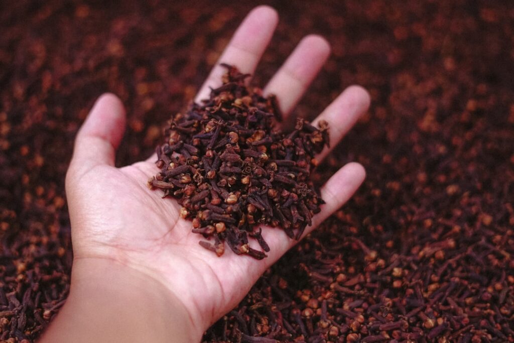 Dried cloves and a small bottle of clove essential oil on a rustic wooden surface perhaps with some other natural skinca