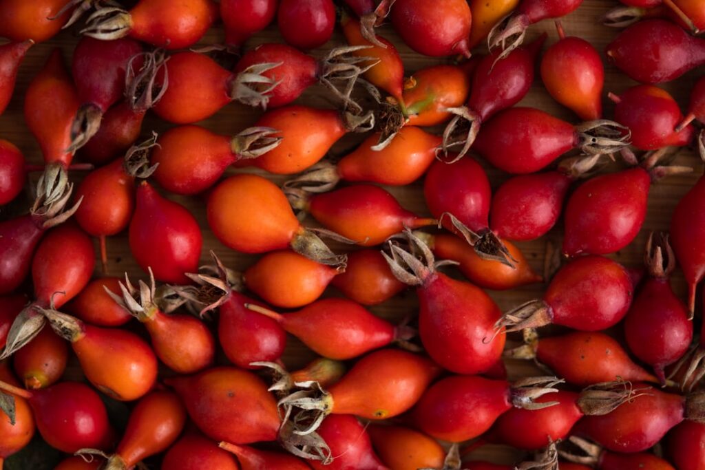 A beautiful flat lay of ingredients for DIY collagen oil a bottle of baby oil dried cloves and dried rose hips alongside