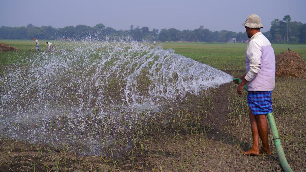 A clear spray bottle filled with milky rice water and cloves held against a soft clean background