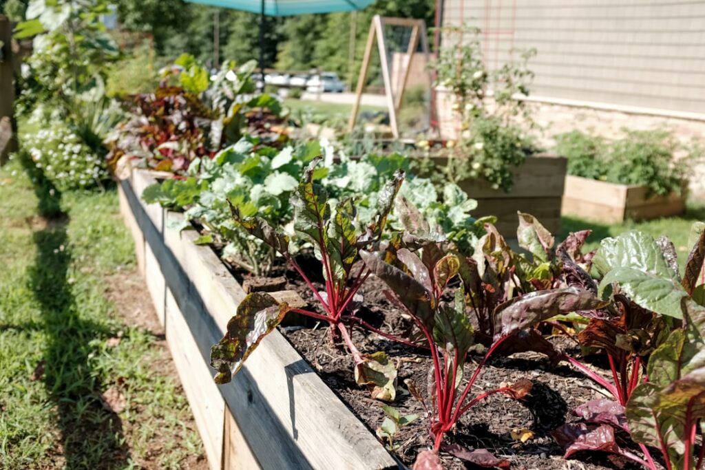 A vibrant thriving vertical garden on a wall showcasing a variety of herbs and leafy greens possibly with some small fru
