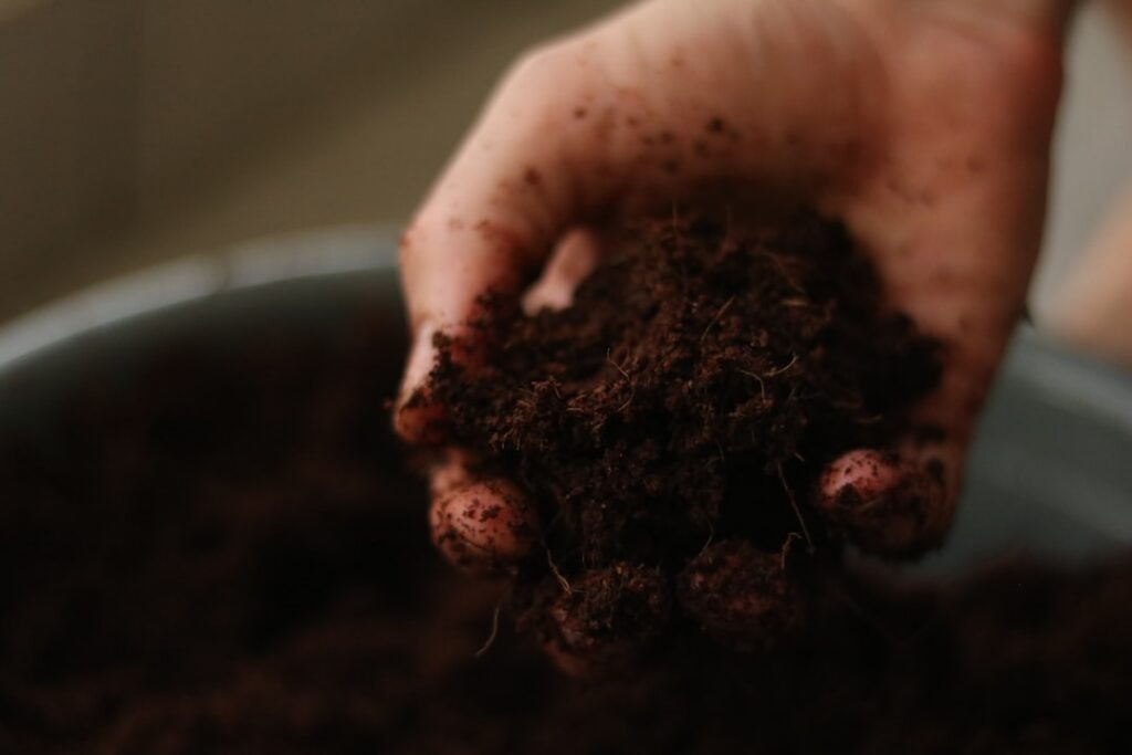 A close-up shot of a gardener s hands sifting rich dark soil mixed with various organic materials like wood ash coffee g