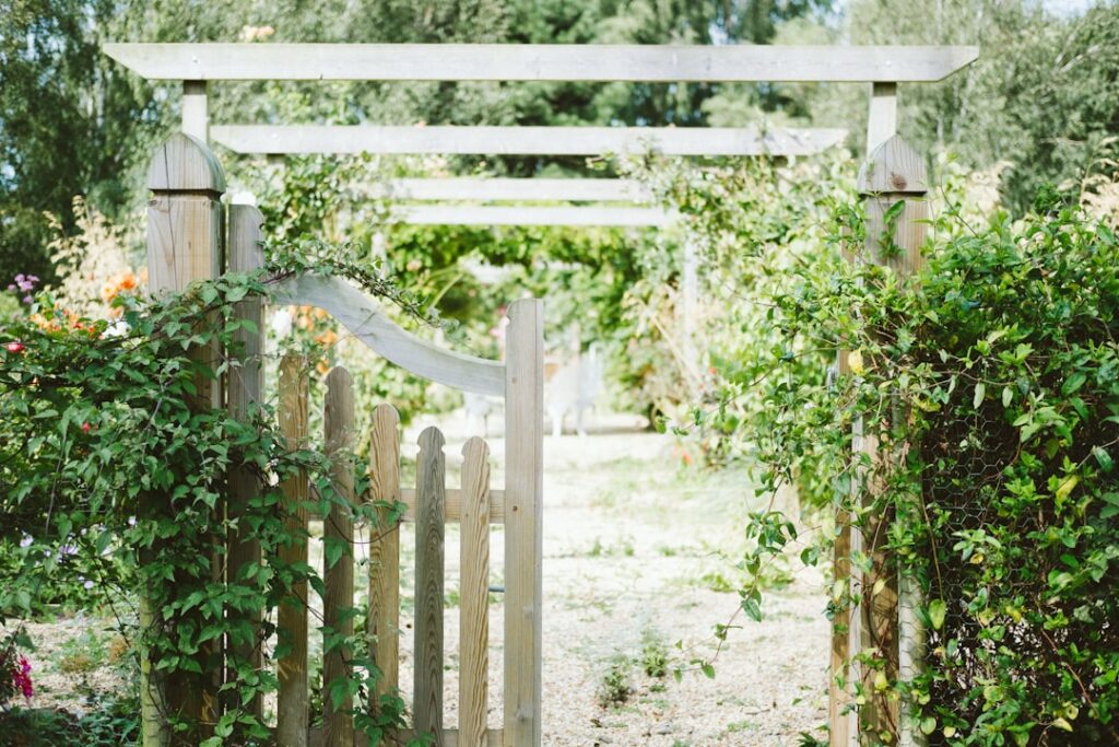 An array of different garden trellis styles including a grid string trellis an A-frame trellis and a garden arch trellis