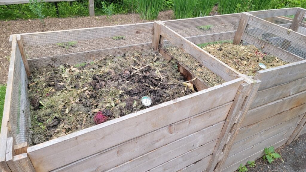 A well-maintained compost bin overflowing with rich dark compost surrounded by lush green garden plants A trowel is gent