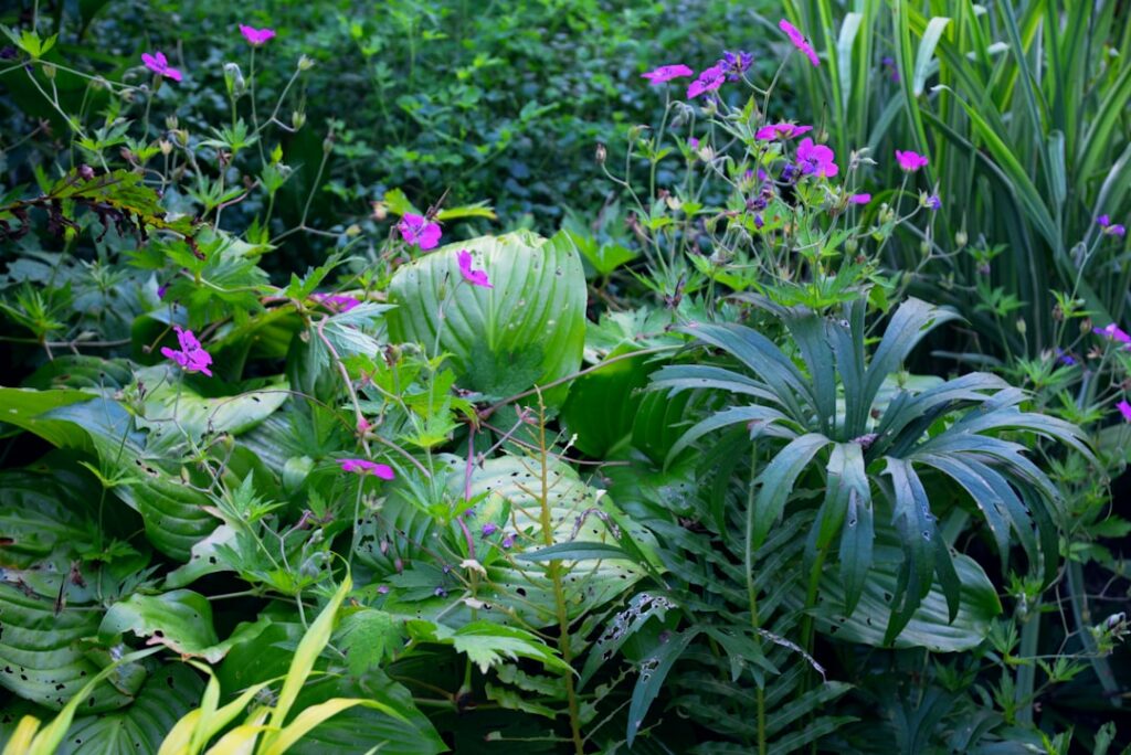 A beautiful lush garden featuring a variety of flowers vegetables and greenery showcasing year-round beauty