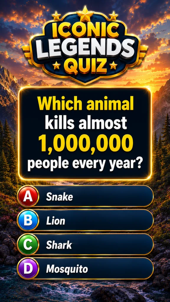 A mysterious foggy jungle at dusk with a golden question mark
